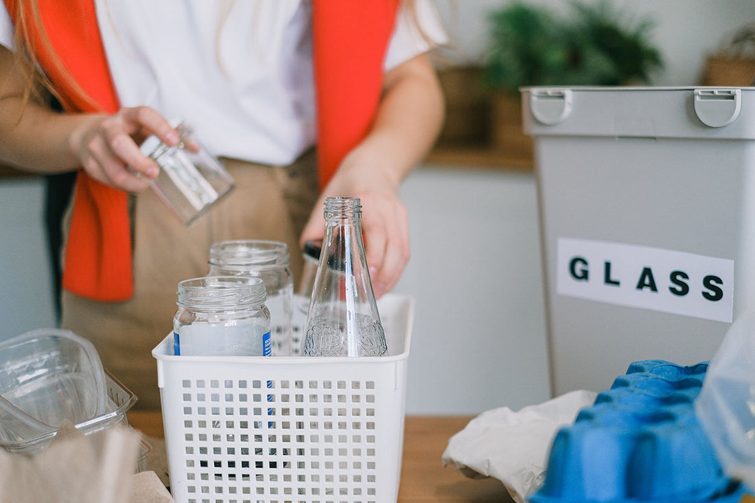 Closed Terrarium Containers: A Comprehensive Guide to Glass vs. Plastic Encasements