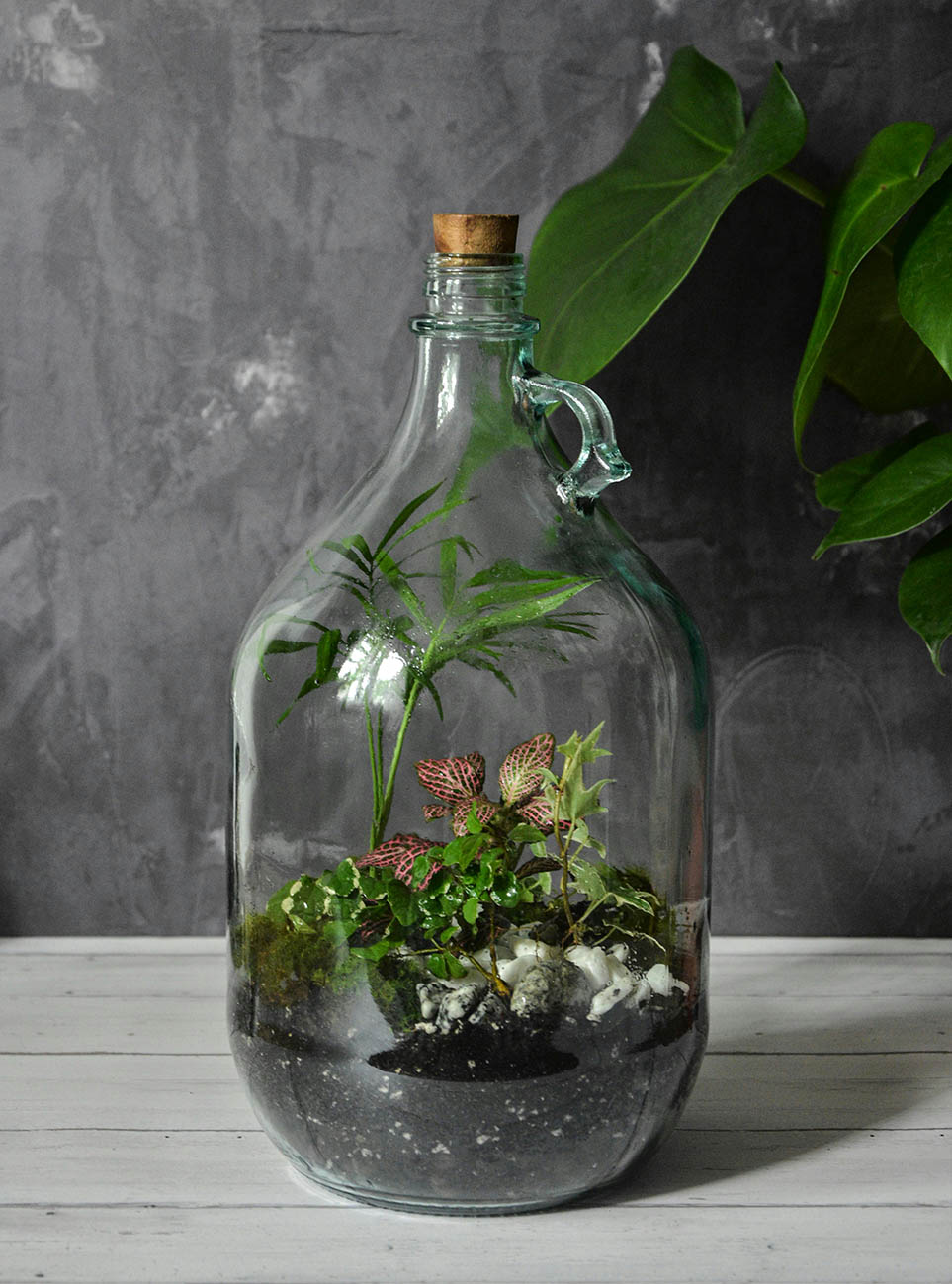 Top 5 Stress-Relieving Hobbies to Start at Home – Terrarium Kit