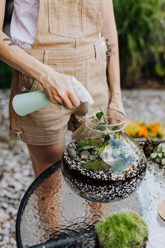 Hydration Harmony: Unveiling the Art of Watering in Closed Terrariums