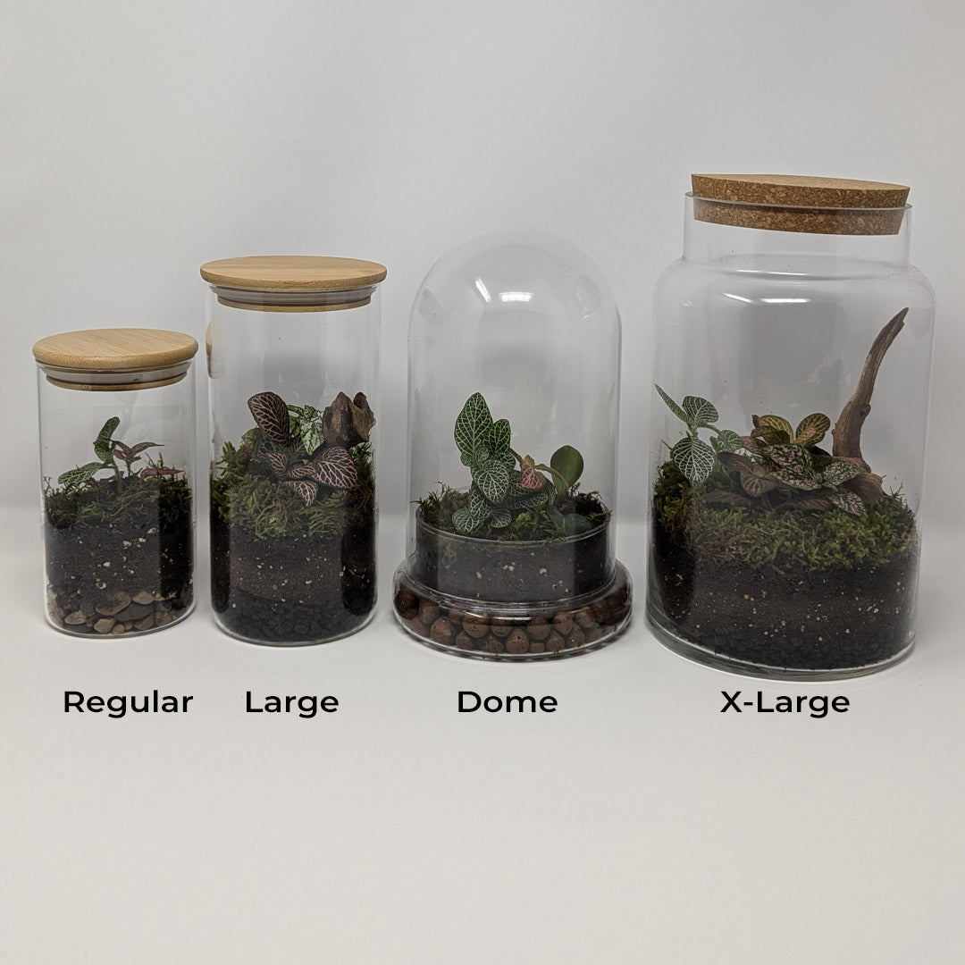 Easy Build Terrarium Kit (Closed Top)