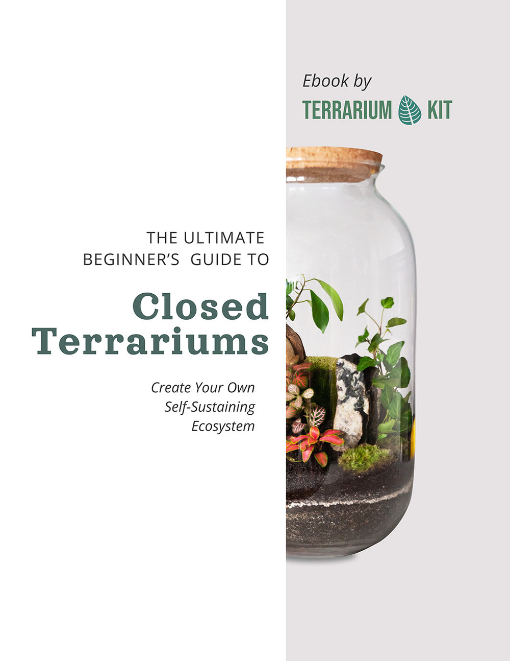 Break Terrarium Terrarium Kit - Closed DIY Terrarium Kits in Canada